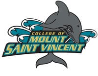 Mount Saint Vincent College