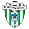 TJ Slovan Bzenec